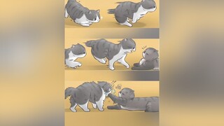Tao trẻ con vơi mày à..Bép!! mèo pet cute foryou