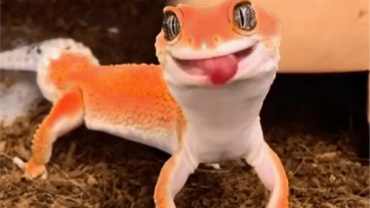 น่ารักมากเลย!