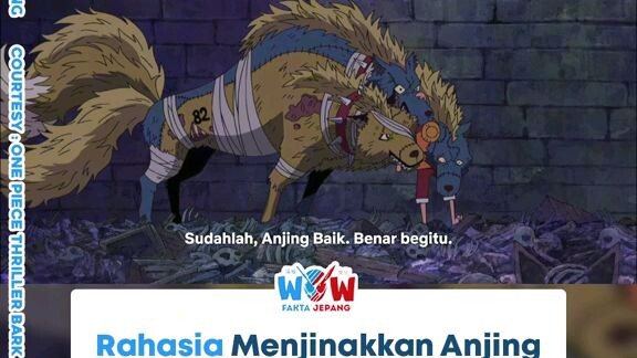 Cara menjinakkan anjing tantrum ala Baka Senchou One piece