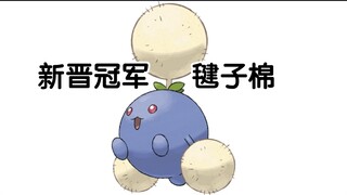 宝可梦大型纪录片—毽子棉