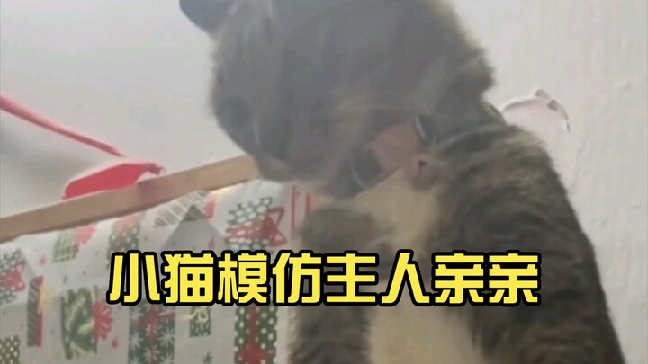 Kucing kecil: Kamu nggak tahu? Kamu biasanya ngecium aku kayak gini kok!