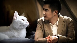 假 如 沈 翊 是 猫 | 杜城×沈翊 | 金世佳×檀健次 【城心城翊】