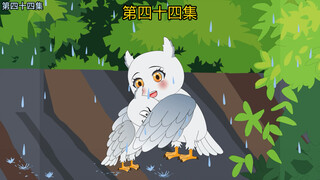大雪鸮老婆找上门来了