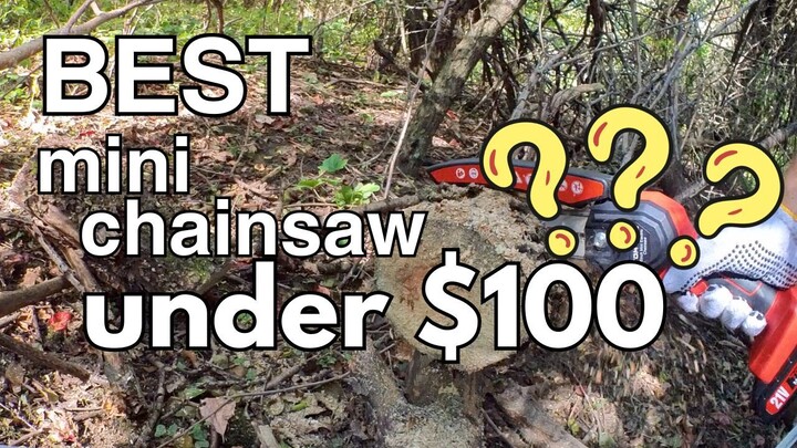 Is this the best mini chainsaw under $100?