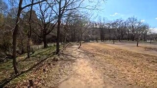 【Koma Walk】Exploring the History and Nature of Koma in Saitama【4K】