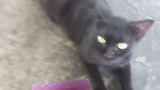 si ucung
