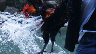 Why can't you appreciate yourself?