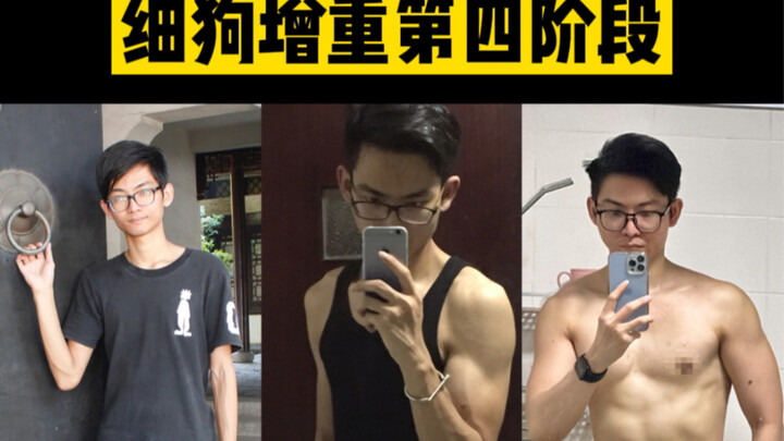 Không bao giờ là một chú chó gầy nữa