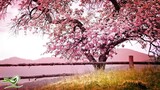 7 Hours of Relaxing Sleep Music • Soft Piano Music, Sleeping Music, Sweet Dreams #122