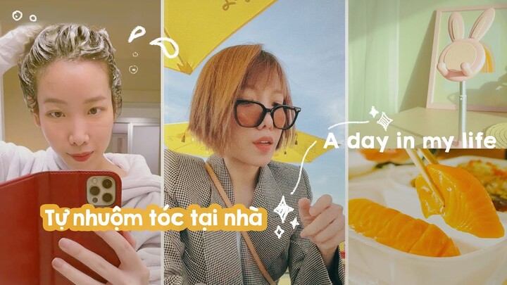 Tự Nhuộm Tóc Tại Nhà | A day in my life | Du học Sinh Canada 🇨🇦 | Vyvu Coco