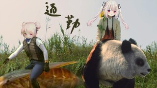 【真白花音】Tentang insiden di mana penggemar Baicai pergi mengendarai panda dan kecoa【Miscellaneous Talk】