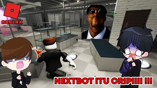 NEXTBOT INI MENGEJARKU !! AKU DAN ADIKKU SAMPAI KETAKUTAN - Roblox Evade