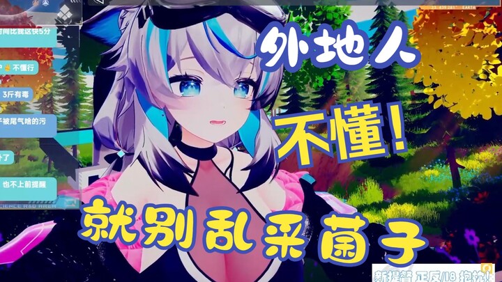 身在云南 看到外地人采菌子就犯愁......