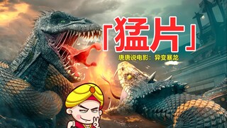 【唐唐】爆笑解说国产怪兽片《异变暴龙》大战三角巨蛇！