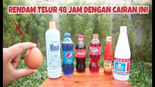 Ngeri!! 48 JAM DIRENDAM.. Ternyata telur jadi seperti ini #experiment