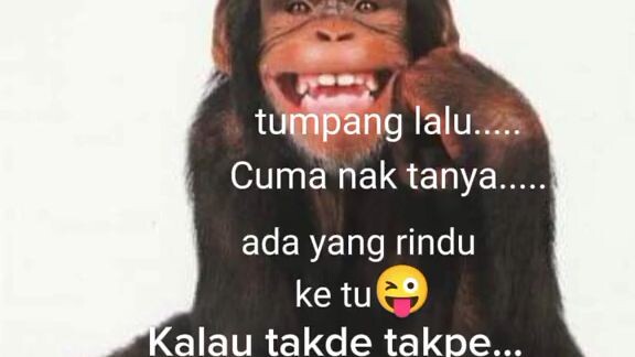 amm just Malaysia can understand what is this 😂😂😂