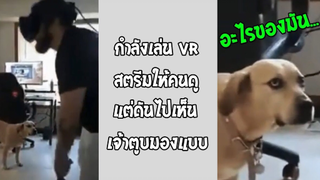 รวมคลิปตลกๆ : มนุษย์กำลังทำอะไรเนี่ย!!?