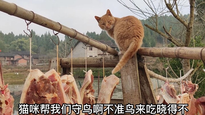 You put a cat in charge of guarding the meat and even pay it a salary, but it still slips out the ba