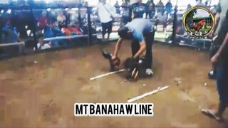 WD 2 hits MT Banahaw line and JRP Grey line!