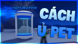 [CODE] CÁCH Ủ VÀ CÔNG DỤNG CỦA Ủ PET (INCUBATE - INCUBATOR) || ANIME FIGHTERS SIMULATOR