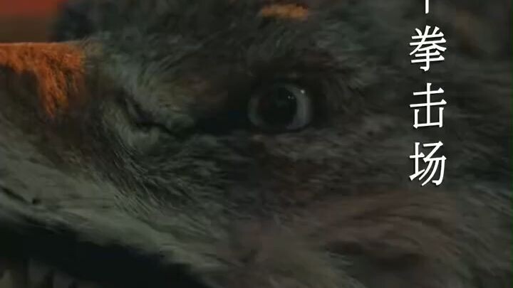 Ma Xiaoyu & Hu Yuanjun - Magnificent Reins《华丽的缰绳》Eng Sub