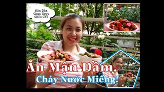 [Ẩm Thực Hà Nội] ĂN MẬN DẦM CHUA CAY CỦA BÀ TÂN VLOG -NHÌN THÔI ĐÃ THÈM