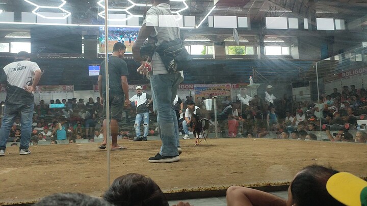 5cock finals Roligon Mega Cockpit 6/16/2025