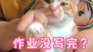 啥？作业没写完？那你完了哟~