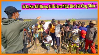 Quanglinhvlogs || Tạo Công Ăn Việc Làm Cho Hơn 150 Công Nhân Trong Thời Kì Đầu Tại Quang Linh Farm