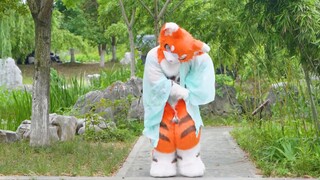 [Fursuit Dance] Shangchunshan by Rui Shou | A kitten who strayed into wonderland? Rui Miaomiao's out