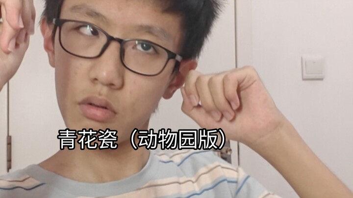 青花瓷（动物园版）
