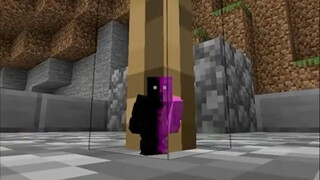 Minecraft: มินิซ่อนหา