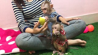 Mino and Coconut enjoyed the pear