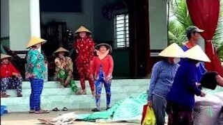 Quay Cảnh Chuyển Lúa Ngoài Đồng Về Kho Cuộc Sống Miền Tây