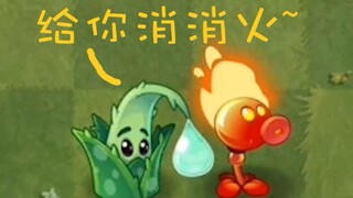 【神操作】芦荟居然能灭火！！！！！！