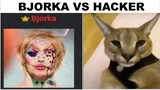 Heker vs Bjorka Be Like