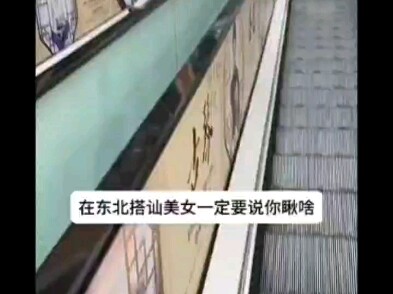 Apa yang sedang kamu lihat?