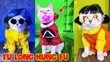 Thú Cưng Vlog | Mèo Tử Long KungFu #4 | Mèo Kungfu vui nhộn | Smart cats pets funny squid game