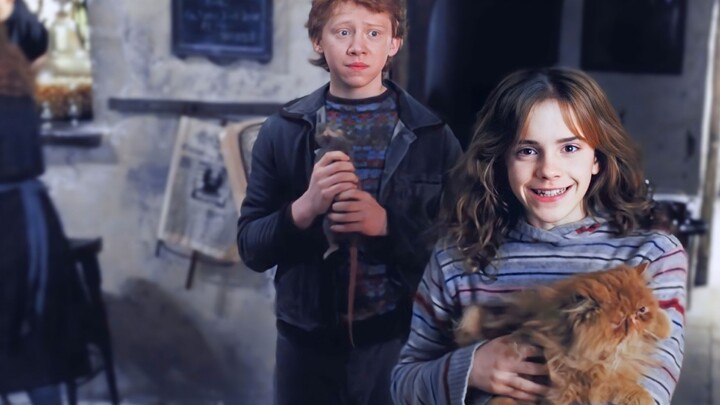 [HP/罗赫] Saat Aku Bertemu denganmu, Aku Terkutuk | Pasangan Resmi Termanis | Hermione & Ron