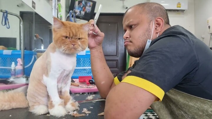 เบื่อๆ เซ็งๆ