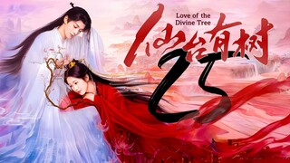 EP25 Love.of.the.Divine.Tree (2025)
