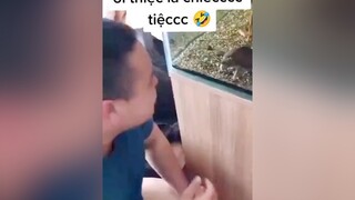 sponsored tui thiệccc là khổ quá đi mờ 😩😩🤣cườikhôngnhặtđượcmồm xuhuong
