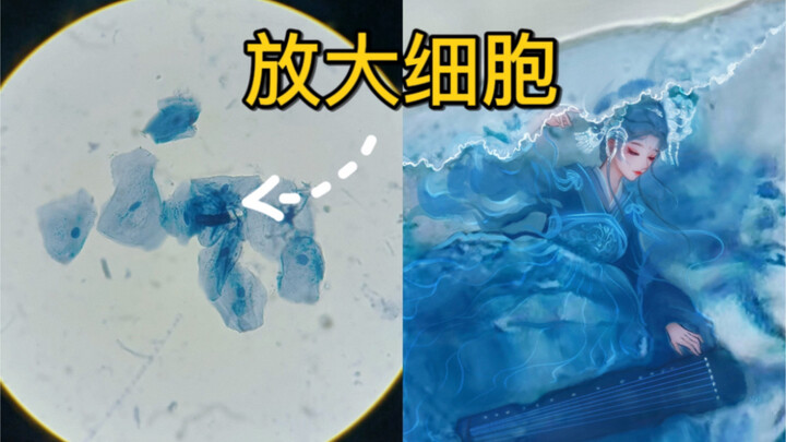 When I magnified the cells captured by my fans to infinity, I actually saw this scene… | Everything 