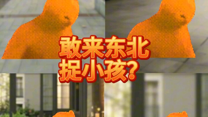 لحظة استيقاظ الدم الشمالي الشرقي…