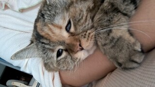 睡不瞑目