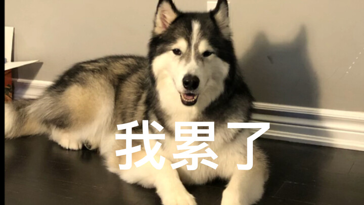 Brainwashing Version of "Flying in the Sky"