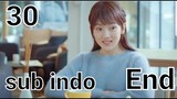 Accidentally in Love episode 30 sub indo END