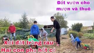 Xới đất trồng rau hai con phụ dọn cỏ/làm vườn ở pháp/cuộc sống pháp thôn quê ở pháp/vườn rau ở pháp