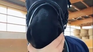 هل مجرد قرص أنفك يجعلك سعيدًا إلى هذا الحد؟