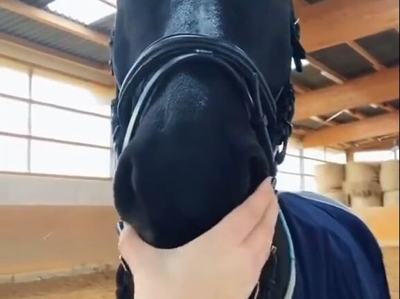 捏鼻子就这么让你高兴吗